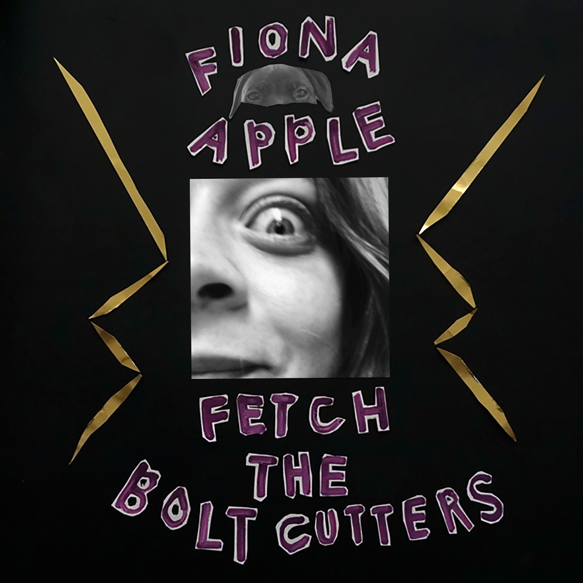 Fiona Apple《Fetch the Bolt Cutters》专辑封面